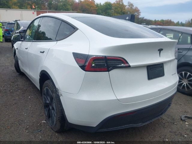 2025 TESLA MODEL Y 7SAYGDEE8SA342844 Photo 2