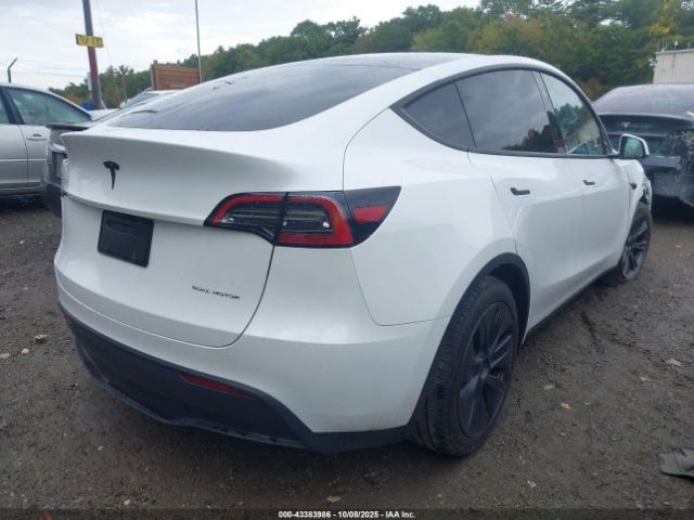 2025 TESLA MODEL Y 7SAYGDEE8SA342844 Photo 3
