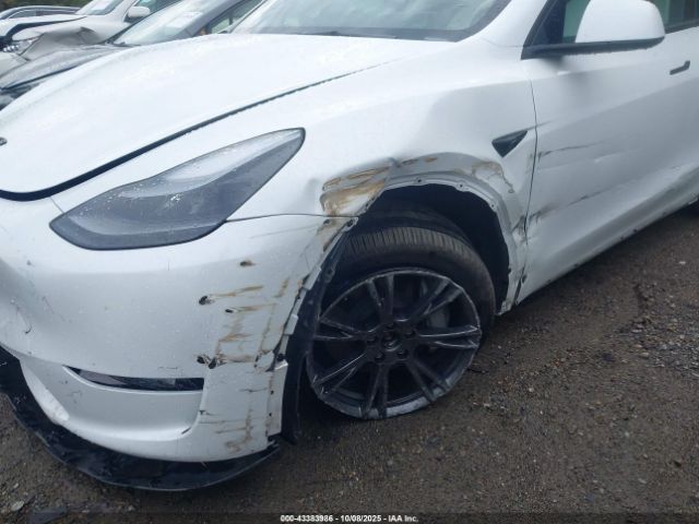 2025 TESLA MODEL Y 7SAYGDEE8SA342844 Photo 5