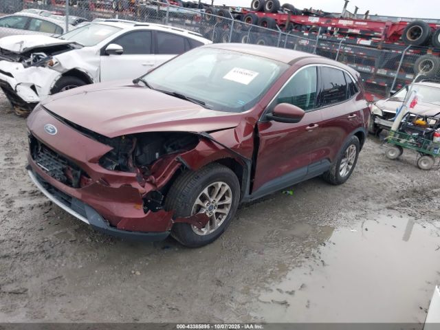 2021 FORD ESCAPE 1FMCU0G61MUA95027 Photo 1