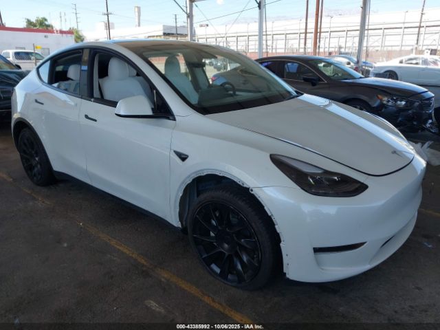 2023 TESLA MODEL Y 7SAYGDEE1PF627623 Photo 0