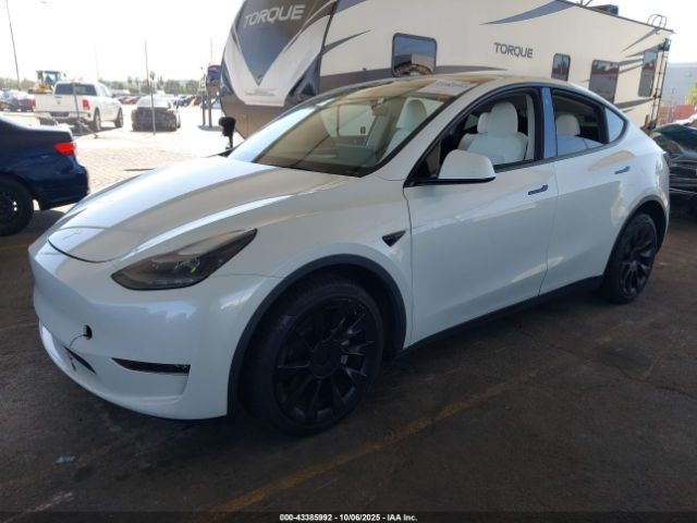 2023 TESLA MODEL Y 7SAYGDEE1PF627623 Photo 1