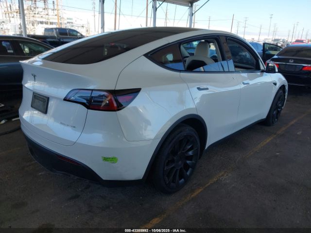 2023 TESLA MODEL Y 7SAYGDEE1PF627623 Photo 3
