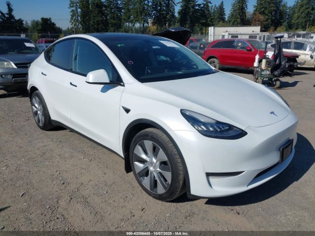 2023 TESLA MODEL Y 7SAYGDEE7PA101283 Photo 0