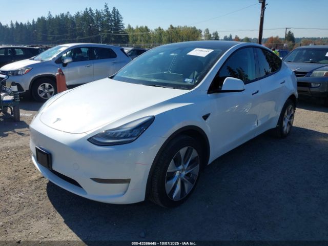2023 TESLA MODEL Y 7SAYGDEE7PA101283 Photo 1