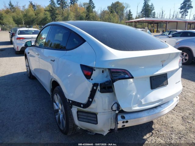 2023 TESLA MODEL Y 7SAYGDEE7PA101283 Photo 2