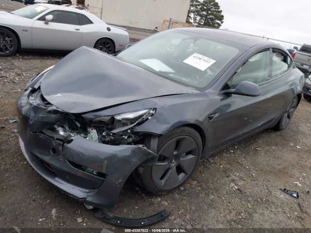 2023 TESLA MODEL 3 5YJ3E1EA7PF699211 Photo 1
