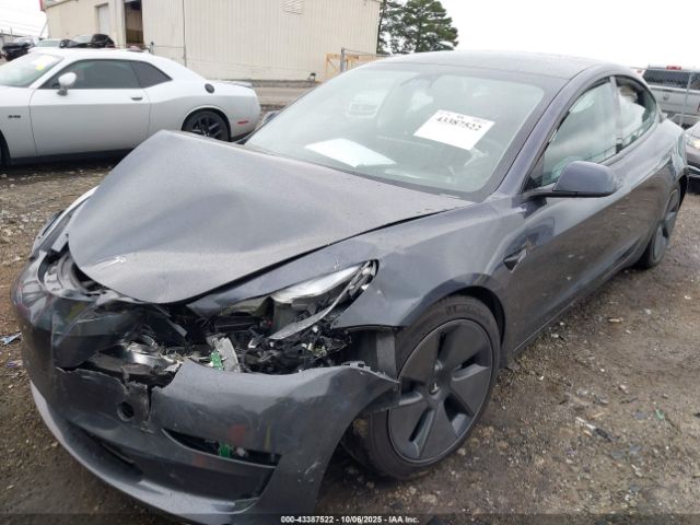 2023 TESLA MODEL 3 5YJ3E1EA7PF699211 Photo 5