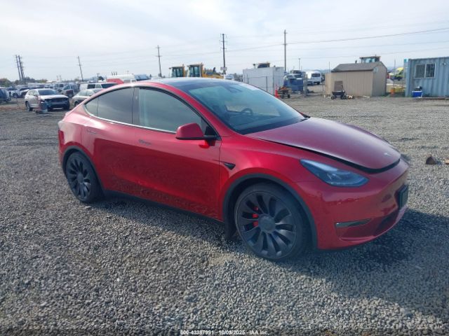 2024 TESLA MODEL Y 7SAYGDEF9RF079267 Photo 0