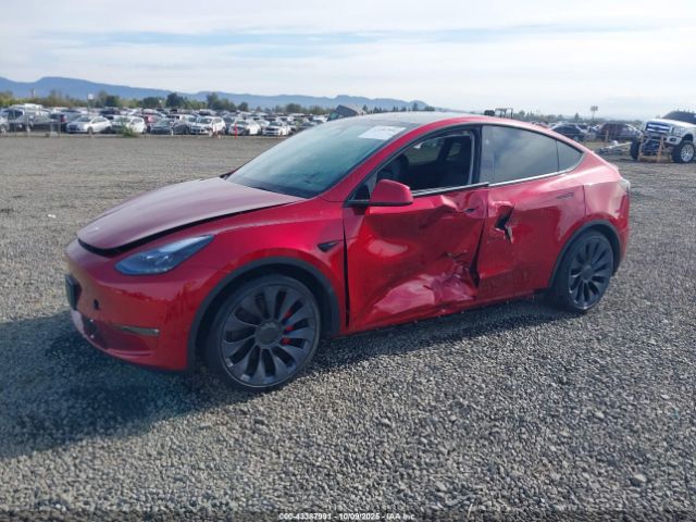 2024 TESLA MODEL Y 7SAYGDEF9RF079267 Photo 1