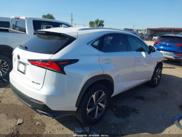 2019 LEXUS NX 300 JTJYARBZ2K2155198 Photo 3