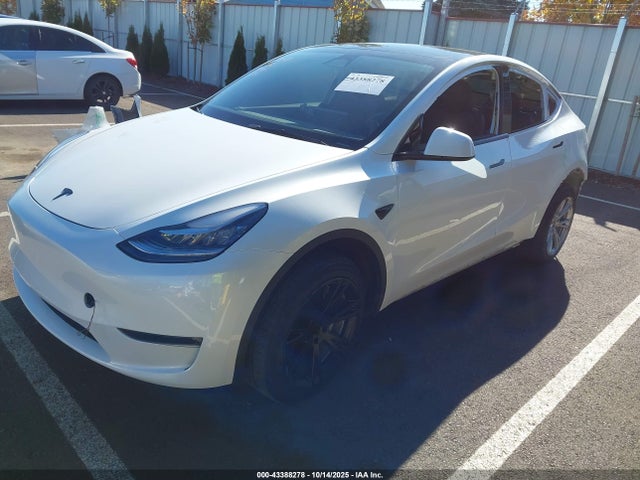 2023 TESLA MODEL Y 7SAYGDEEXPA075942 Photo 1