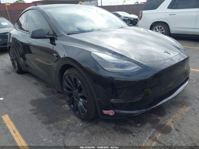 2024 TESLA MODEL Y 7SAYGDEF9RF046589