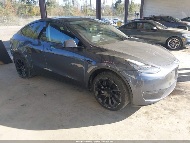 2022 TESLA MODEL Y 7SAYGDEE0NA006075 Photo 0