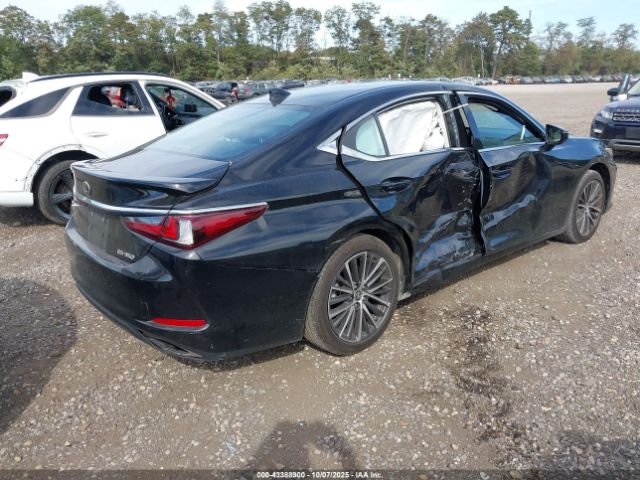 2023 LEXUS ES 350 58ADZ1B14PU153930 Photo 3