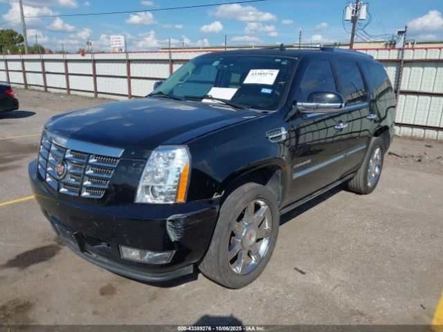 2013 CADILLAC ESCALADE 1GYS3BEFXDR276514 Photo 1