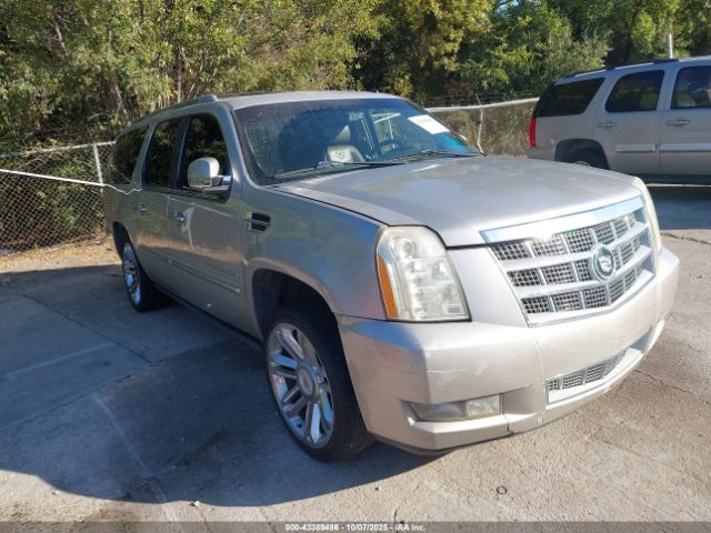 2009 CADILLAC ESCALADE ESV 1GYFK36239R171763