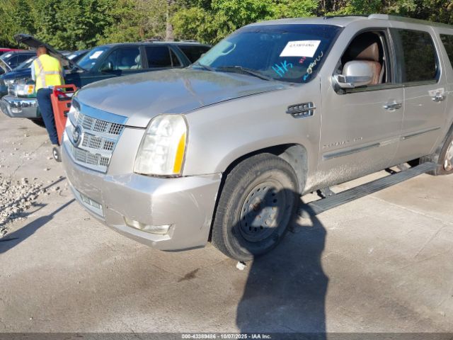 2009 CADILLAC ESCALADE ESV 1GYFK36239R171763 Photo 5