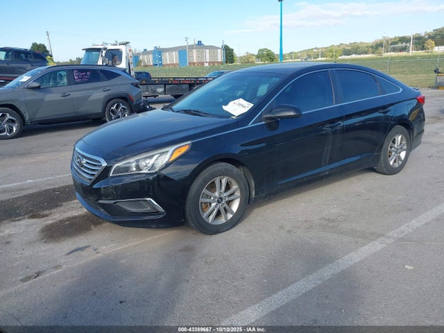 5NPE24AF5HH550500 Hyundai Sonata