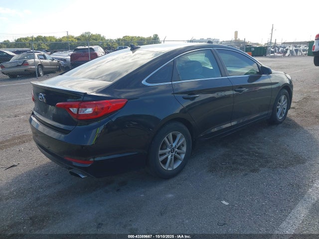 5NPE24AF5HH550500 Hyundai Sonata