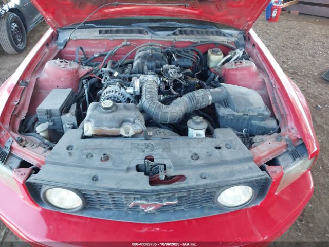 2006 FORD MUSTANG 1ZVFT84N265235322 Photo 9