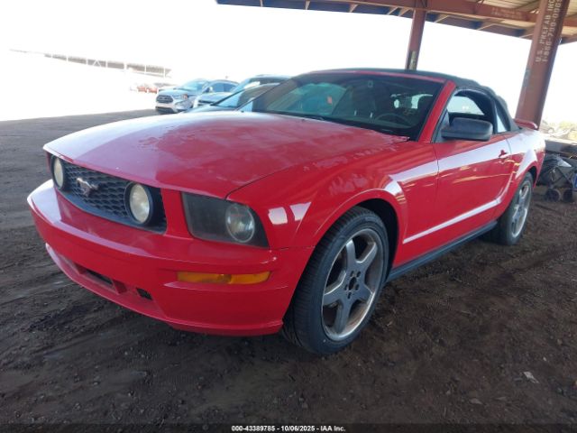 2006 FORD MUSTANG 1ZVFT84N265235322 Photo 1