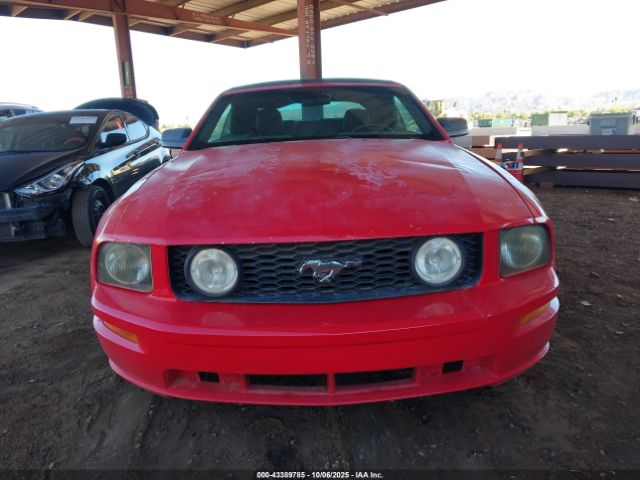 2006 FORD MUSTANG 1ZVFT84N265235322 Photo 5
