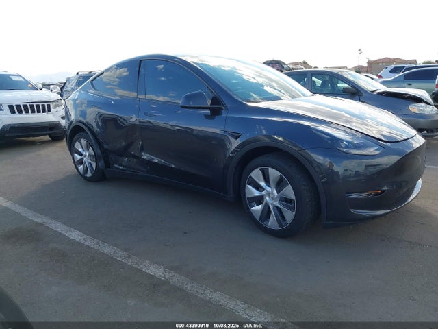 2024 TESLA MODEL Y 7SAYGDEEXRA253500 Photo 0