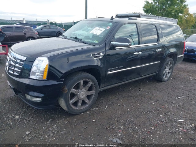 2010 CADILLAC ESCALADE ESV 1GYUKJEF7AR214540 Photo 1