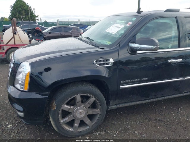 2010 CADILLAC ESCALADE ESV 1GYUKJEF7AR214540 Photo 5