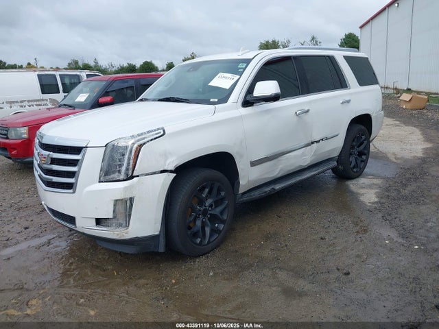 2016 CADILLAC ESCALADE 1GYS4BKJ0GR235366 Photo 1