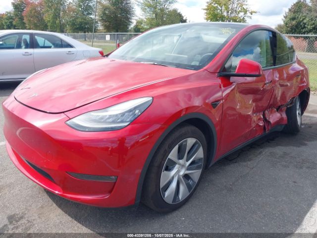 2022 TESLA MODEL Y 7SAYGDEE1NF441562 Photo 1