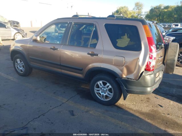 2004 HONDA CR-V JHLRD78824C003486 Photo 2