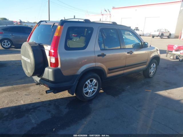 2004 HONDA CR-V JHLRD78824C003486 Photo 3