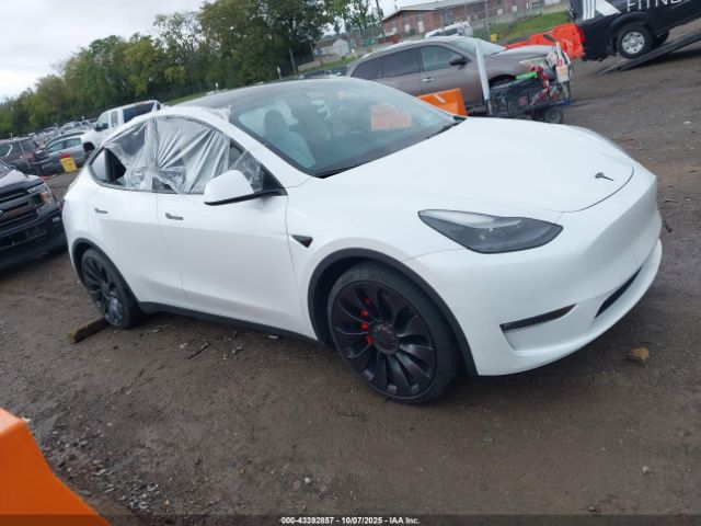 2022 TESLA MODEL Y 7SAYGDEF6NF516748