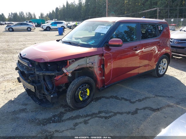 KIA mpi nu 2021 KNDJ23AU7M7781338 Image 2