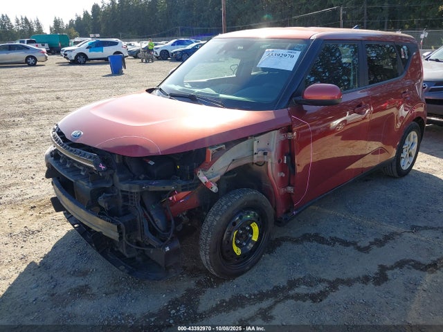 KIA mpi nu 2021 KNDJ23AU7M7781338 Image 6