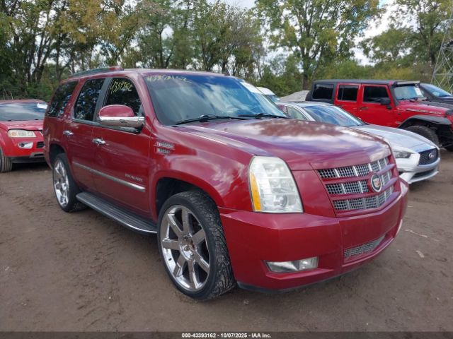 2010 CADILLAC ESCALADE 1GYUKBEF5AR111462