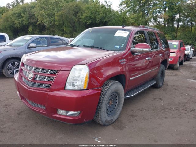 2010 CADILLAC ESCALADE 1GYUKBEF5AR111462 Photo 1