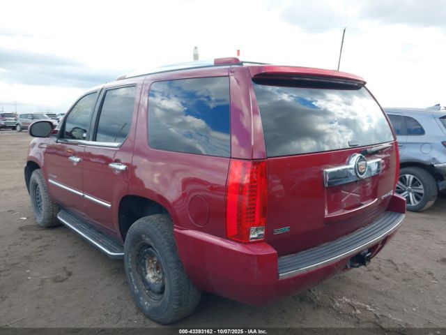 2010 CADILLAC ESCALADE 1GYUKBEF5AR111462 Photo 2
