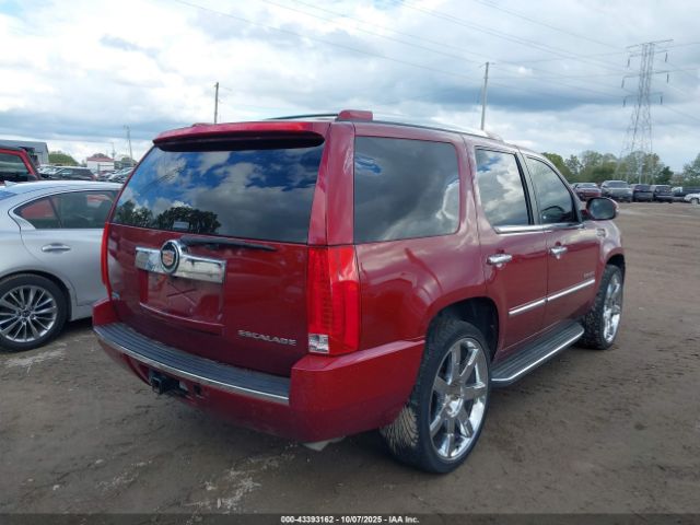 2010 CADILLAC ESCALADE 1GYUKBEF5AR111462 Photo 3