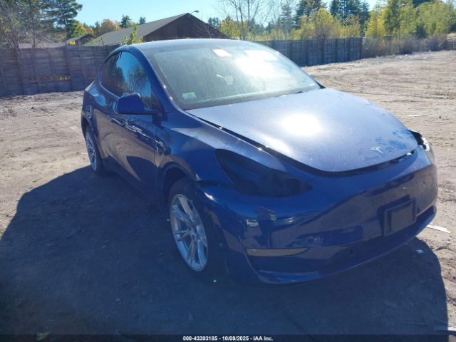 2022 TESLA MODEL Y 7SAYGDEEXNF307424 Photo 0