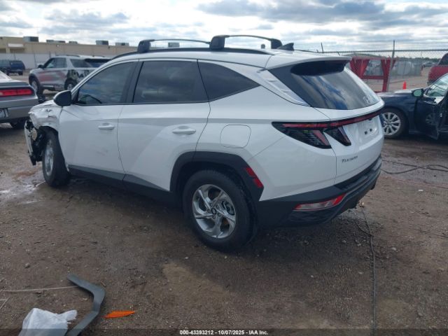2023 HYUNDAI TUCSON 5NMJB3AE4PH226272 Photo 2