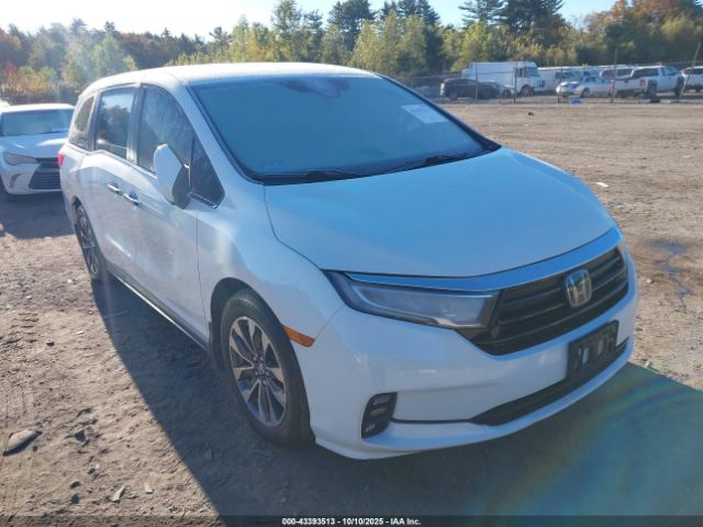 2022 HONDA ODYSSEY 5FNRL6H75NB014150