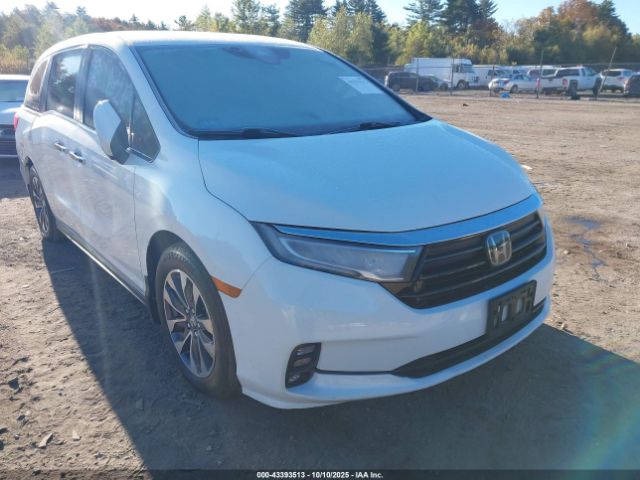 2022 HONDA ODYSSEY 5FNRL6H75NB014150 Photo 5