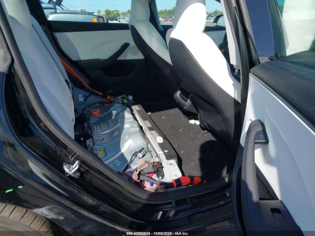 2025 TESLA MODEL 3 5YJ3E1EA5SF936318 Photo 7