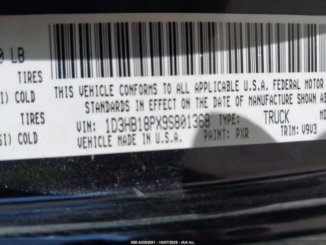 2009 DODGE RAM 1500 1D3HB18PX9S801368 Photo 8