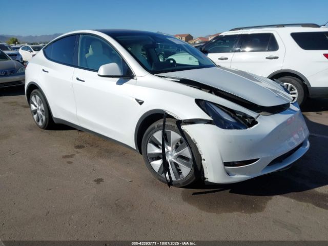 2023 TESLA MODEL Y 7SAYGDEE1PF826879 Photo 0