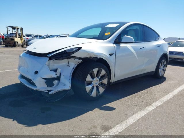 2023 TESLA MODEL Y 7SAYGDEE1PF826879 Photo 1