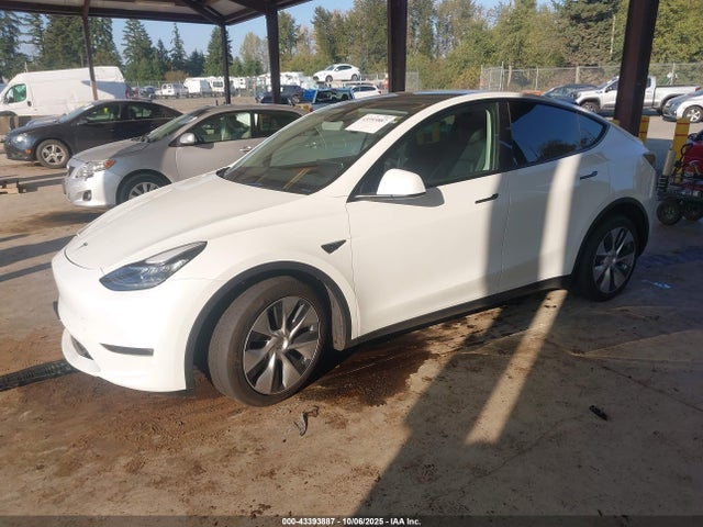 2023 TESLA MODEL Y 7SAYGAEE9PF587791 Photo 1